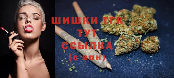 соль ск Арсеньев